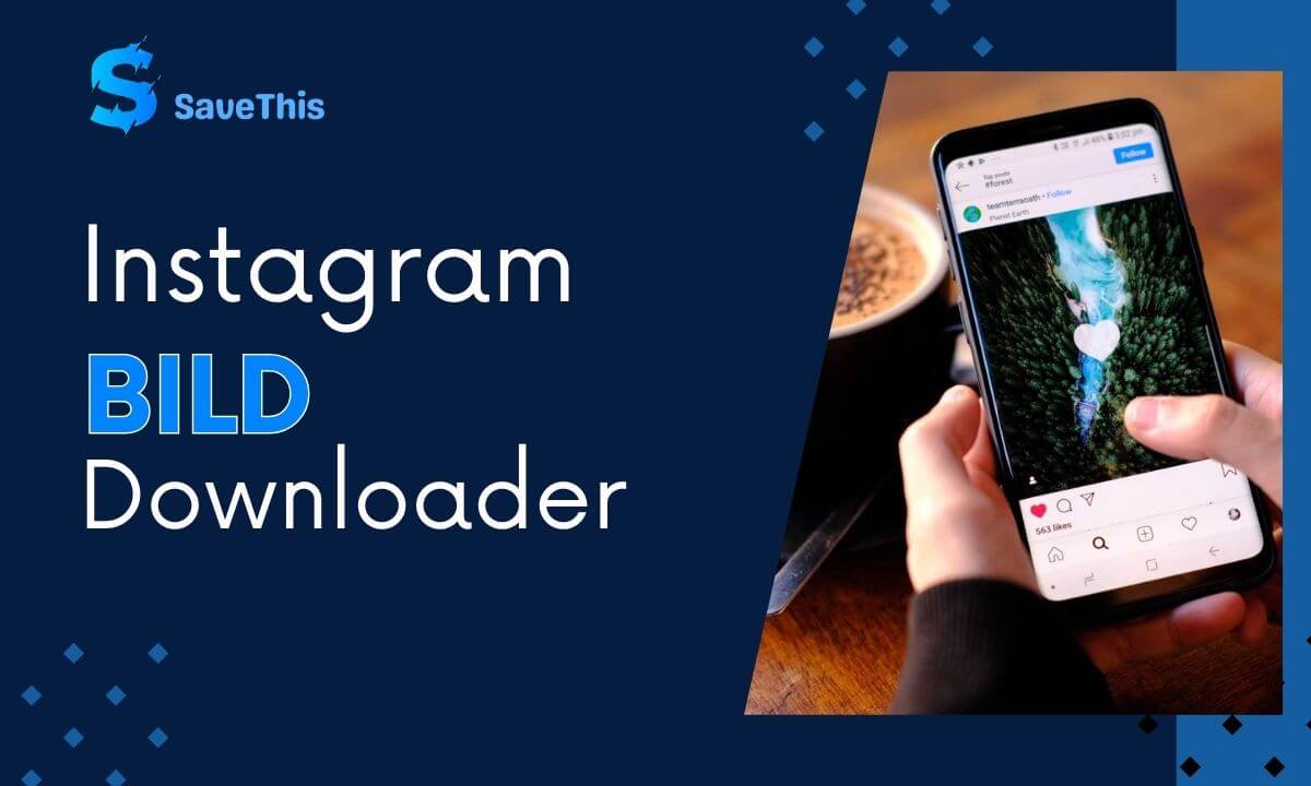 Instagram bilder download